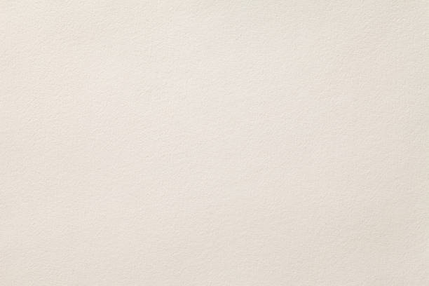 Cream Beige