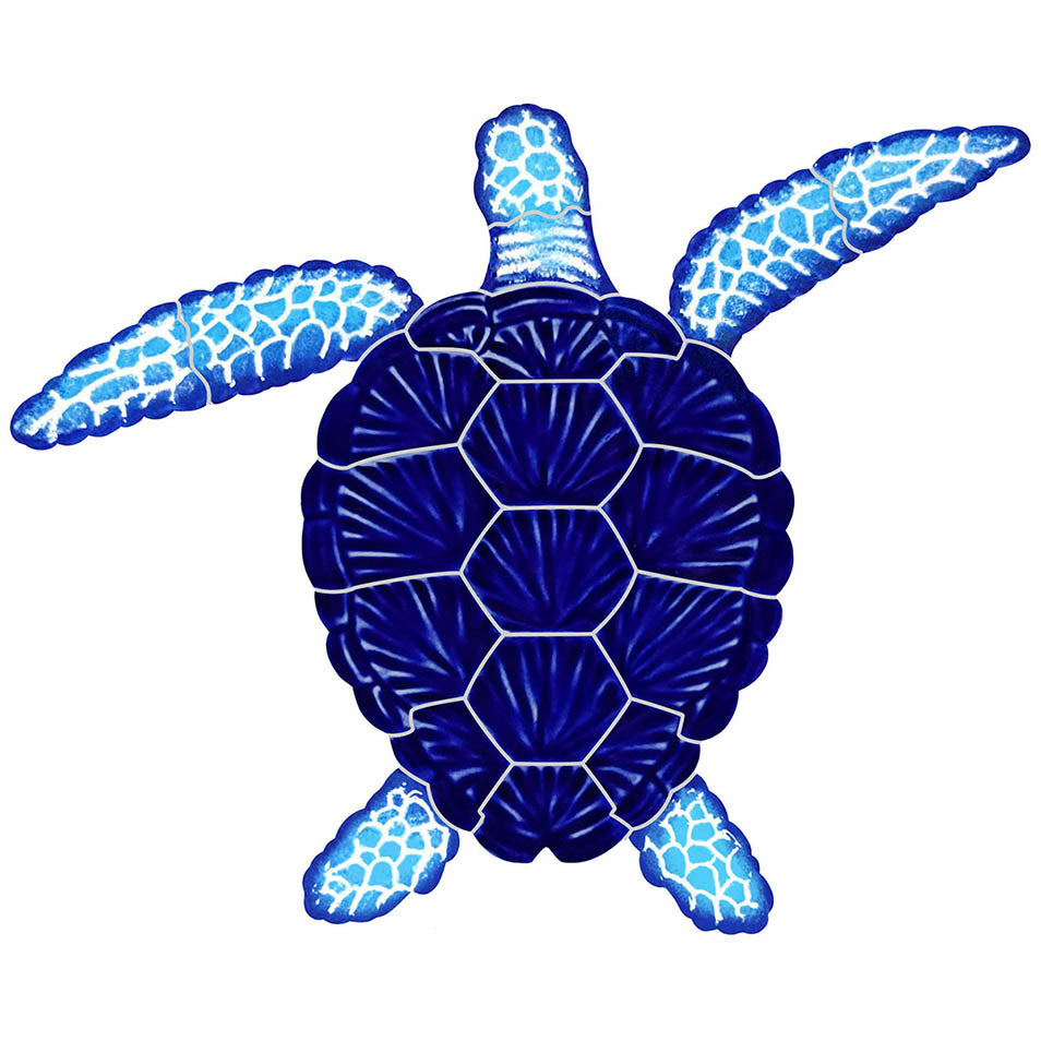Loggerhead Turtle Blue 8 x 10 TLOBLUS