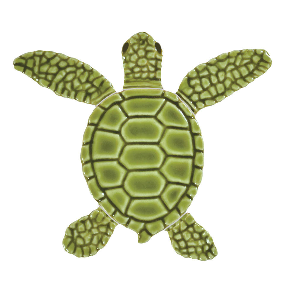 Loggerhead Turtle B Mini Green TLMGREBB at BELK Tile