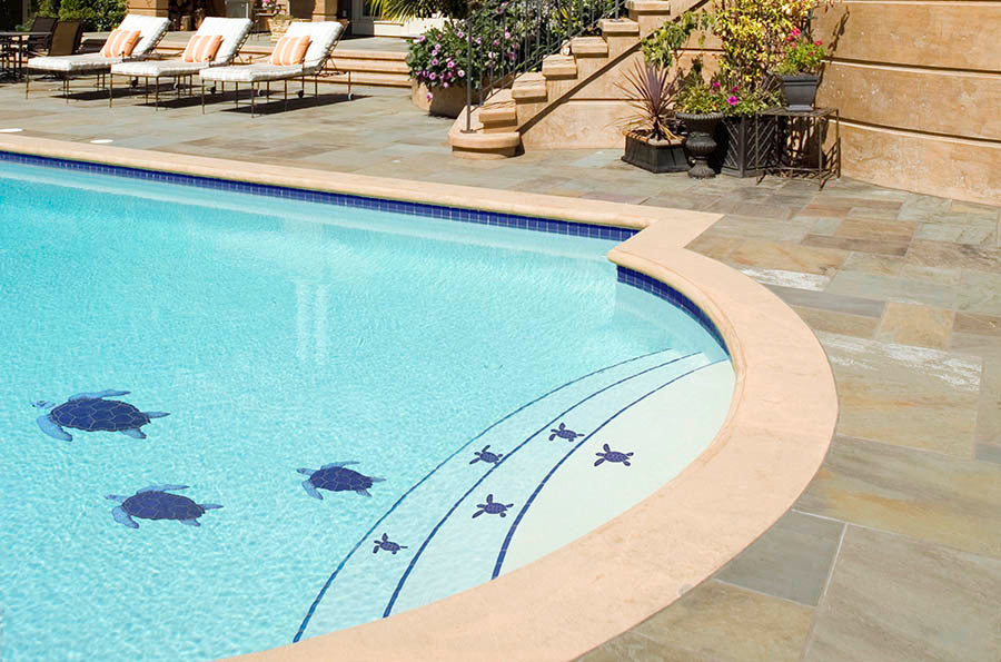 Loggerhead Turtle Blue 8 x 10 TLOBLUS pool install