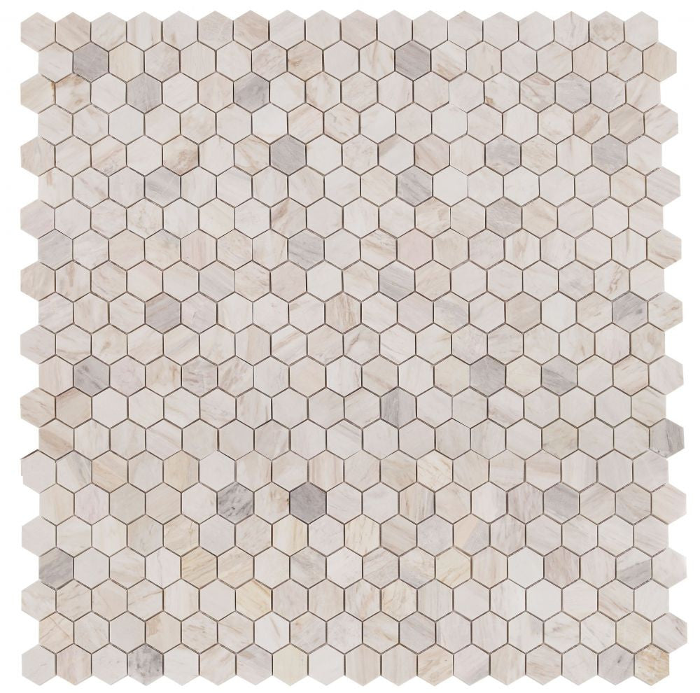 NB3728 Eurasian Polished 2 x 2 Hexagon Marble Mosaic 9 sheets together