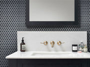 Mir Mosaic Tile Shadow Penny Round Mosaic PN-091 half bath wall accent