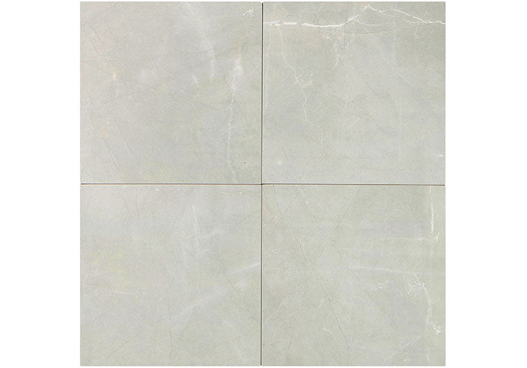 Renaissance Collection RNS-2804 Amani Grey 12 x 12 Polished Tile Group of 4