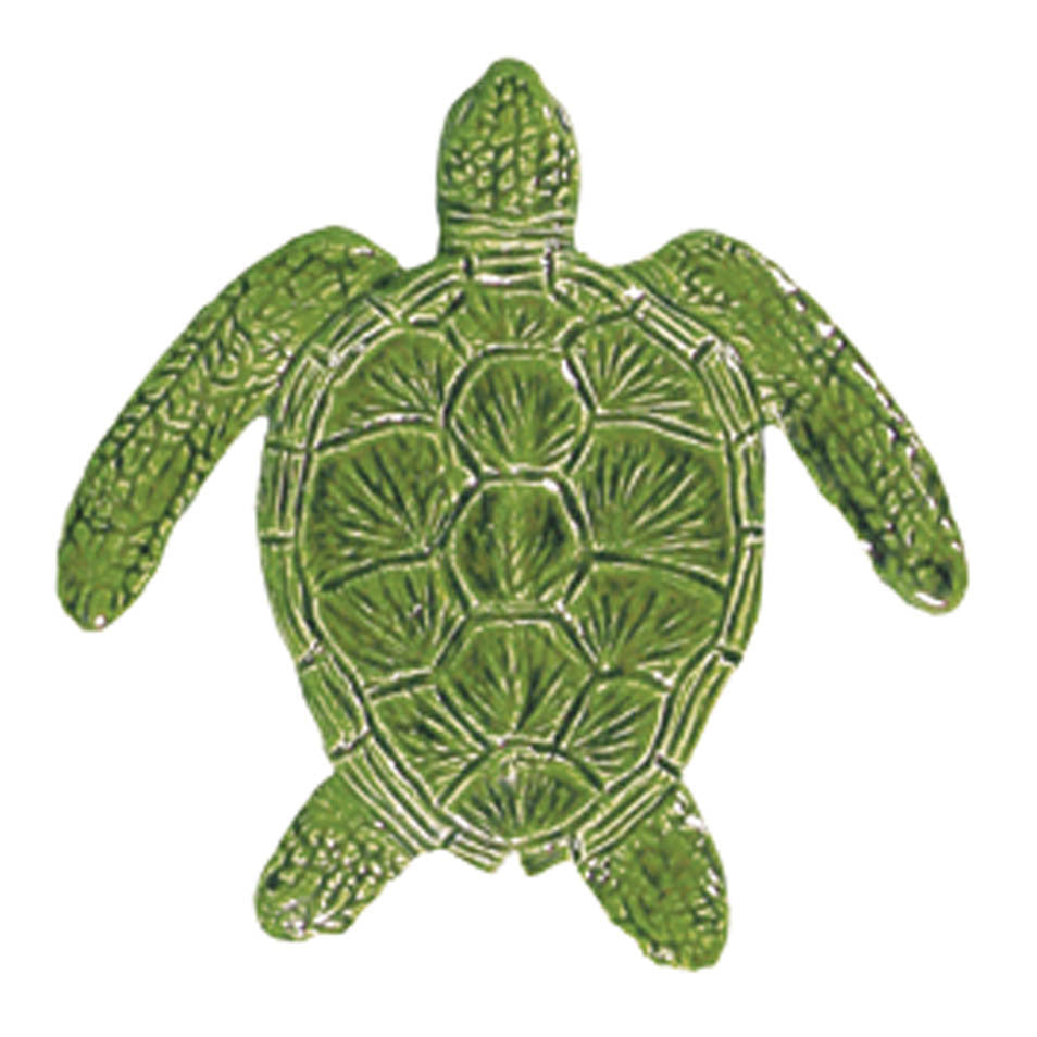 TLOGREB - 6 inch Loggerhead green turtle at BELK Tile