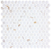 Bella Glass Tiles Carolina Dots Penny Round Mosaic Gilded Vogue CAR2011