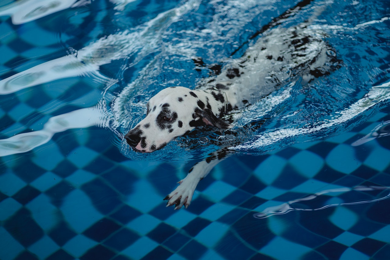 BELK Tile pool tile choices