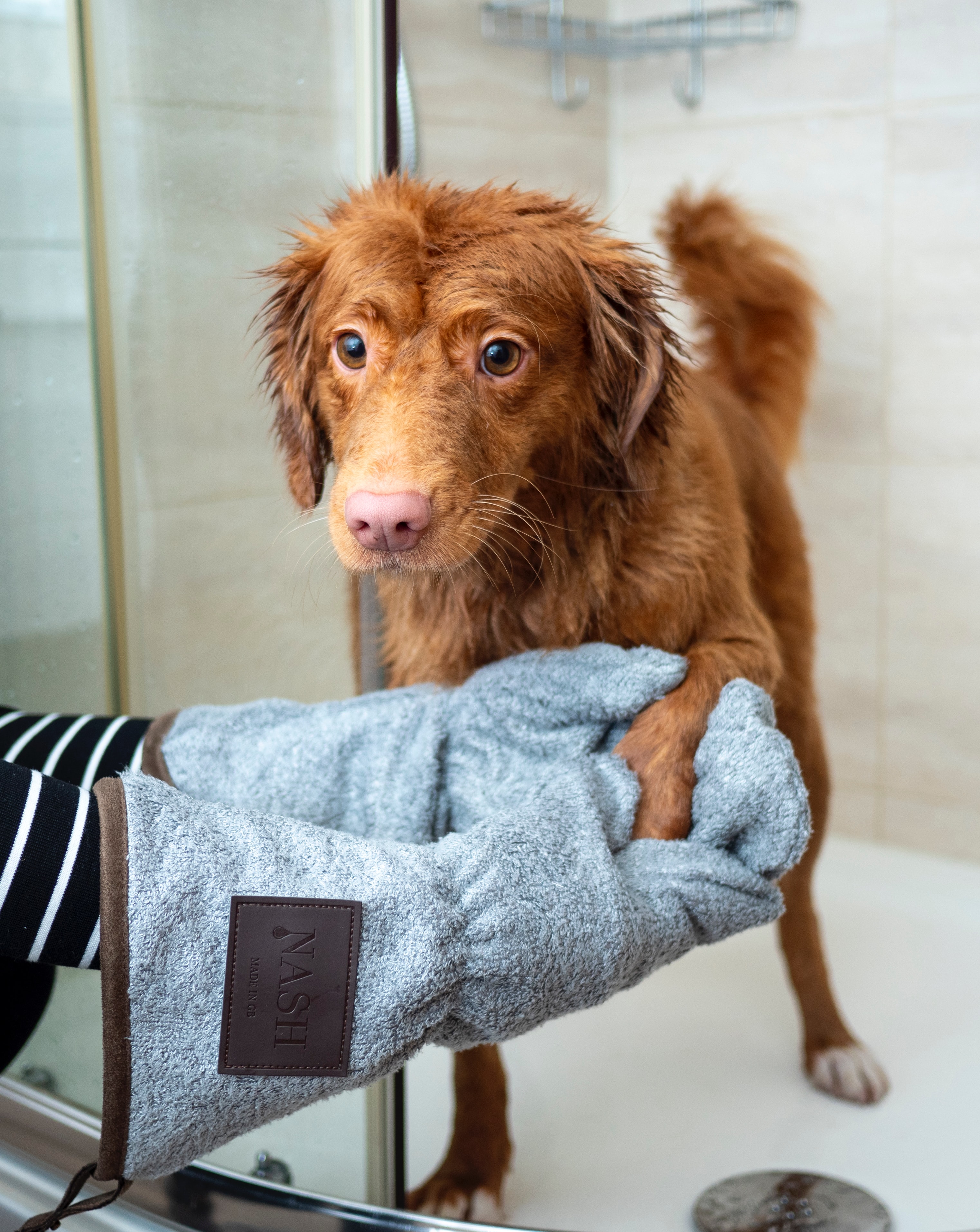 Dog shower tile ideas at BELK Tile